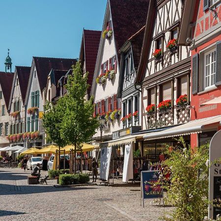 Cheerful Apartment Near City Centre Of Haslach Haslach im Kinzigtal Bagian luar foto