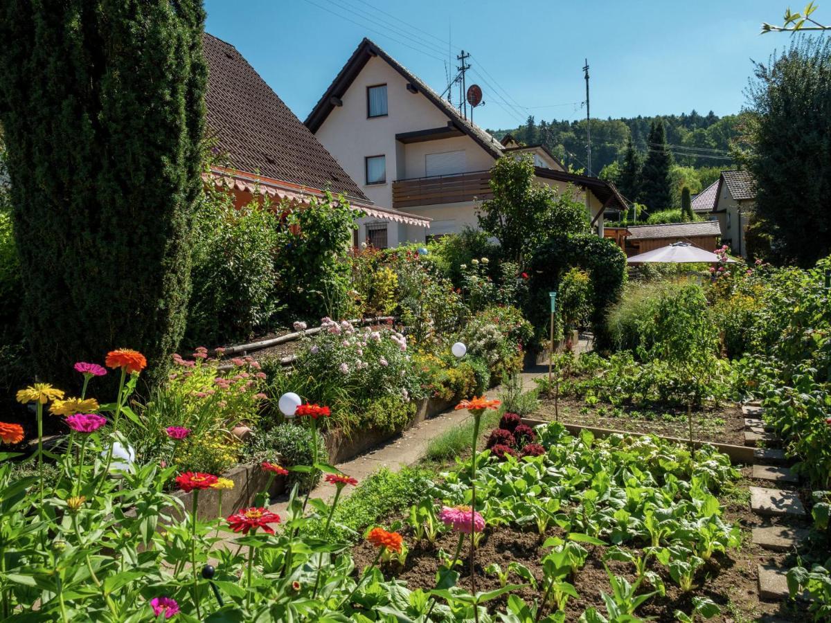 Cheerful Apartment Near City Centre Of Haslach Haslach im Kinzigtal Bagian luar foto
