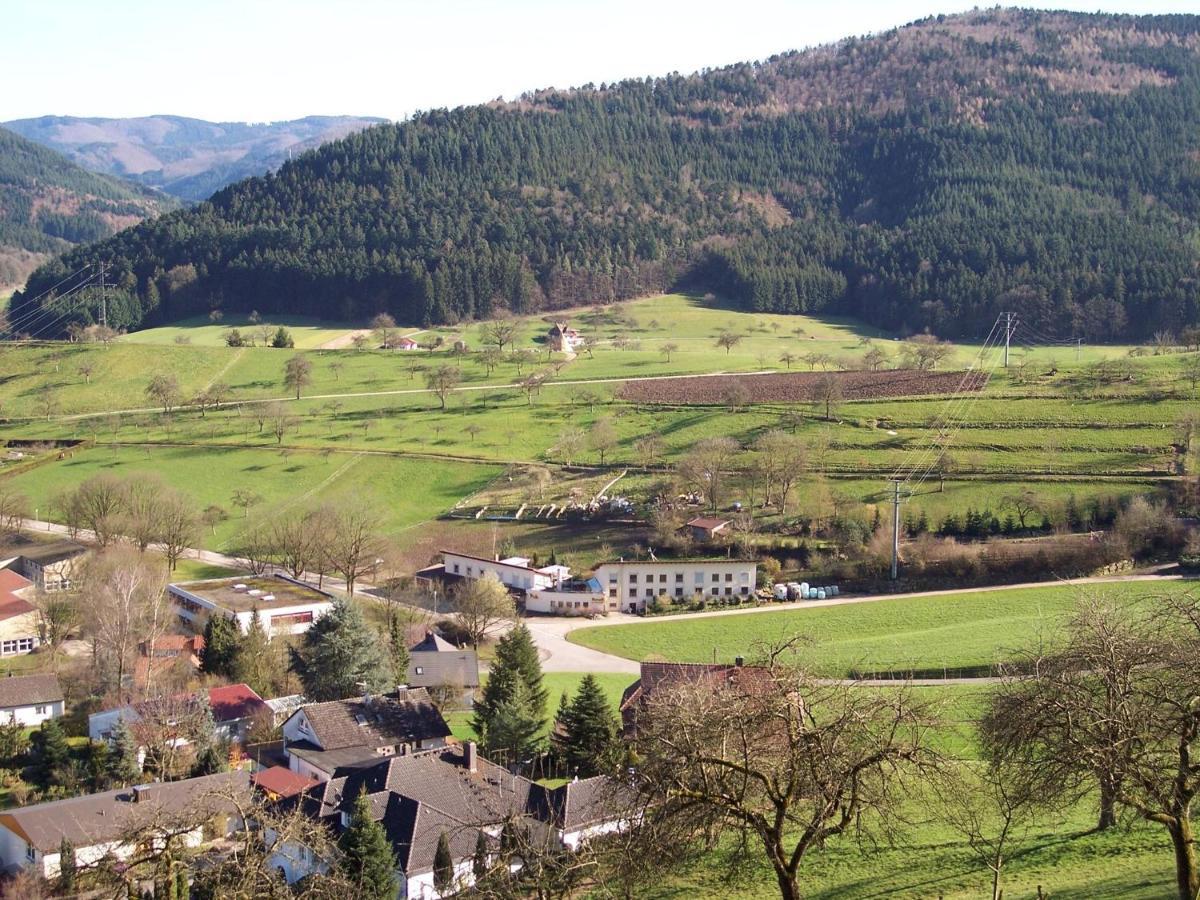 Cheerful Apartment Near City Centre Of Haslach Haslach im Kinzigtal Bagian luar foto